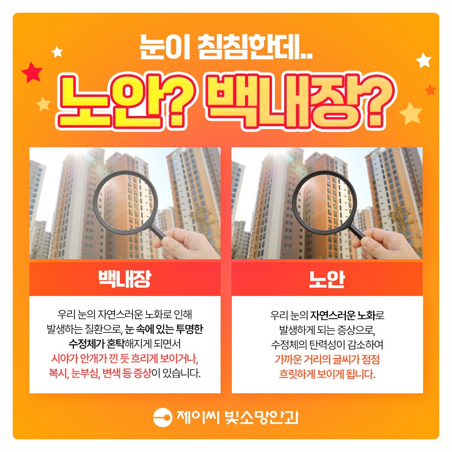 노안백내장비교