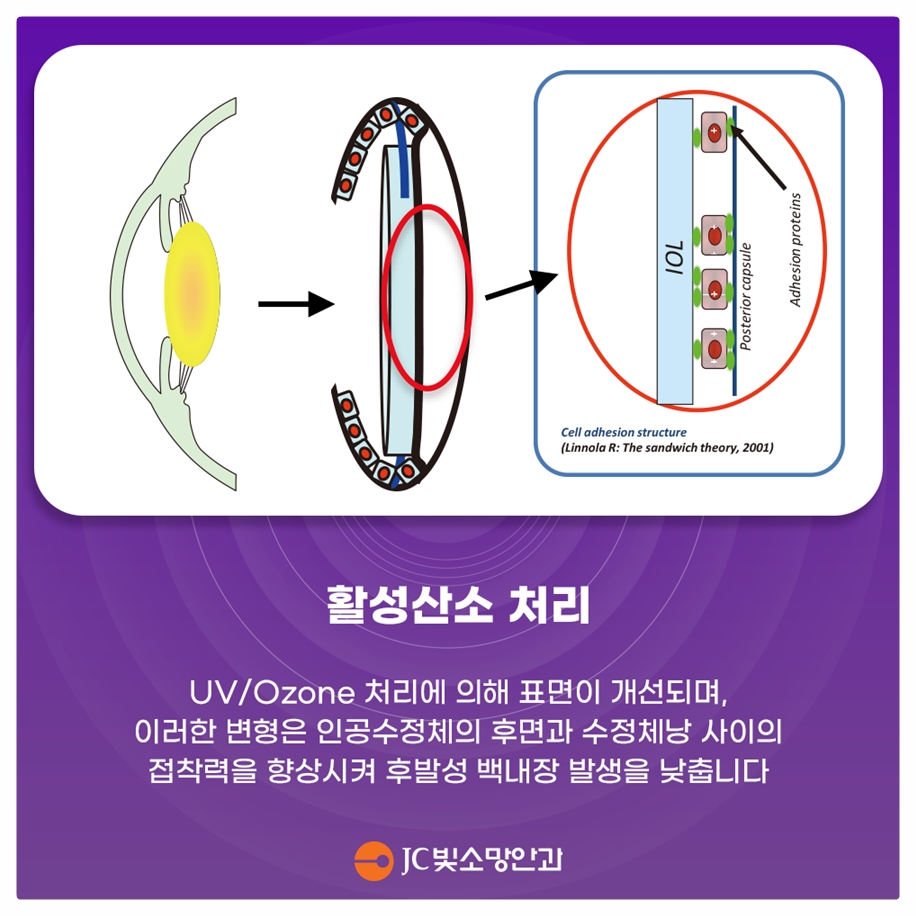 활성산소처리
