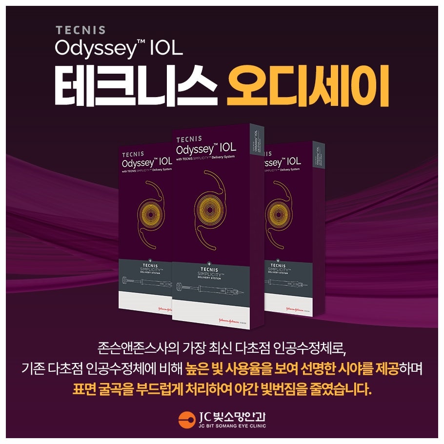 오디세이패키지