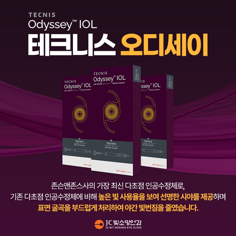 오디세이소개카드
