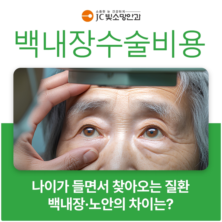 오디세이패키지