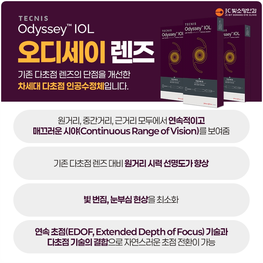오디세이요약